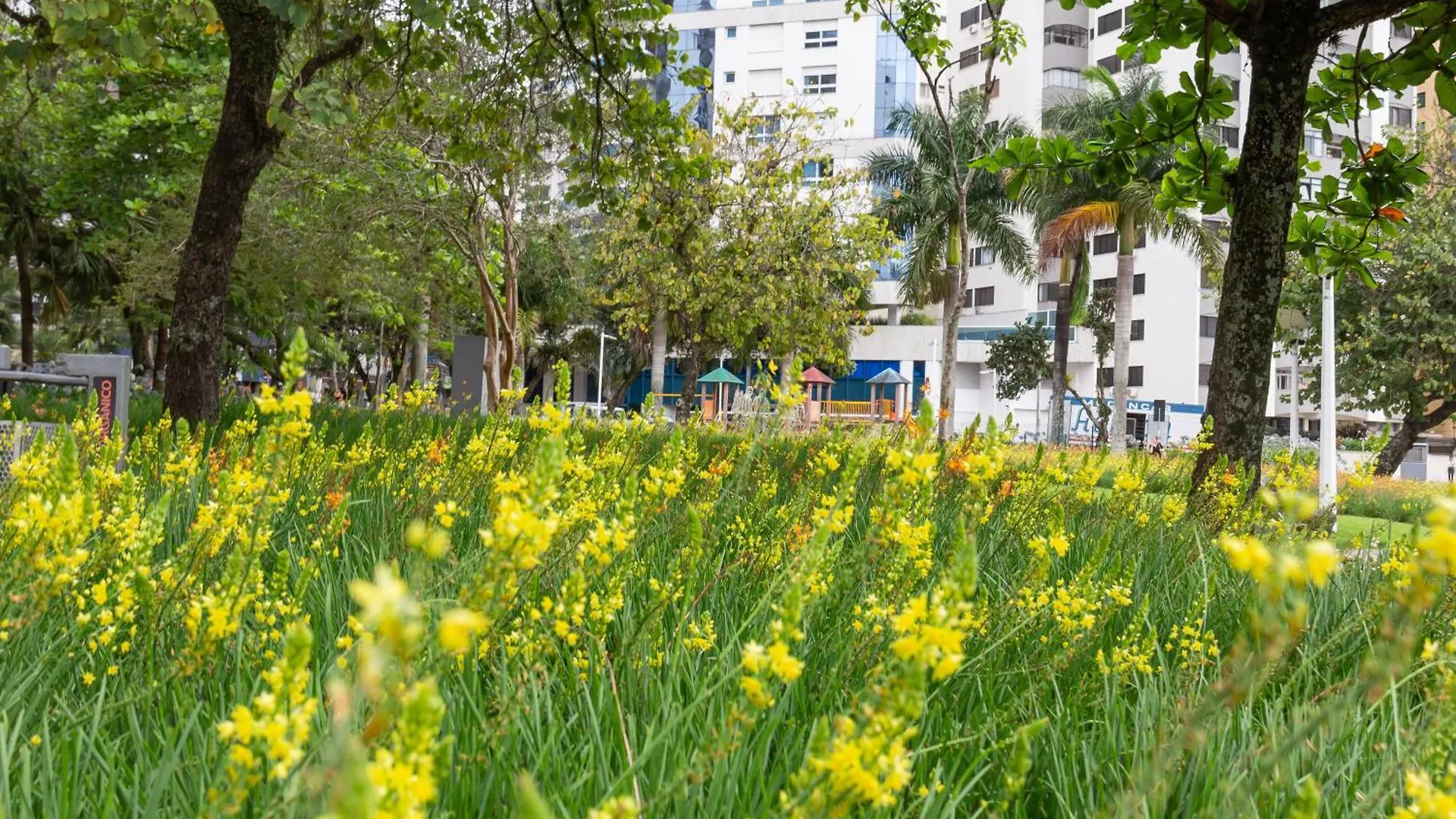 Conforto E Funcionalidade Na Beiramar Norte N1067 Florianopolis